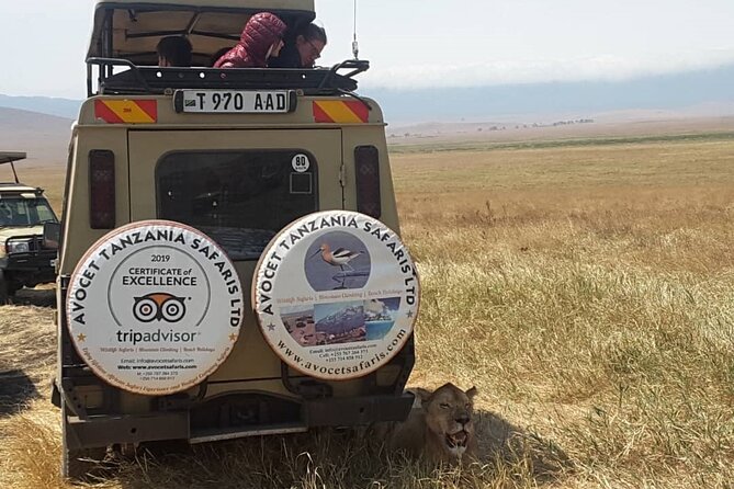 4 Days, 3 Nights Group budget Safari, Lake Manyara, Serengeti, Ngorongoro - The real value of a small group and a strong guide