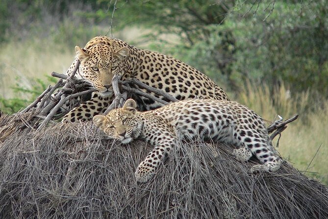4 Days, 3 Nights Group budget Safari, Lake Manyara, Serengeti, Ngorongoro - Price and value: what your $970 is really paying for