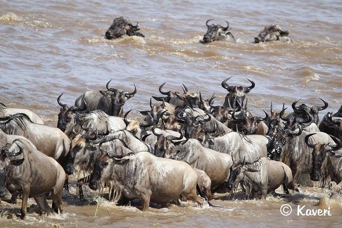 4 Days / 3 Nights Lake Manyara, Ngorongoro and Serengeti - Day 2 toward Serengeti: travel time that sets up the wildlife hub