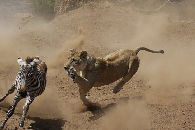 4 days 3 nights Safari- Tarangire, Serengeti and Ngorongoro Crater - Lodging and meals: what is included, and what that means for your comfort