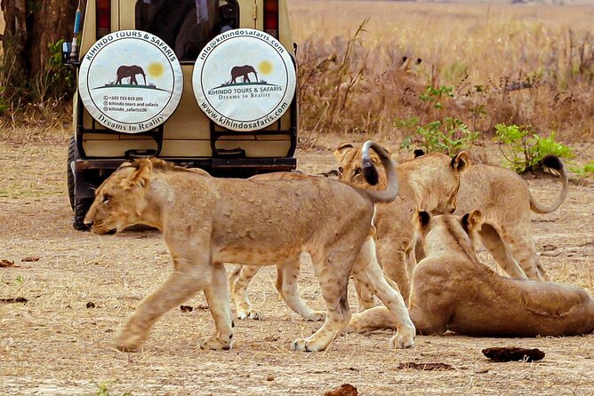 4 Days 3 Nights Safari to Mikumi National Park - Price and value: is $1,100 a fair deal?