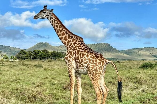 4 Days 3 Nights Selous (Nyerere national park) & Mikumi Adventure - Guides make the difference: Winnie, William, and Isaya’s team