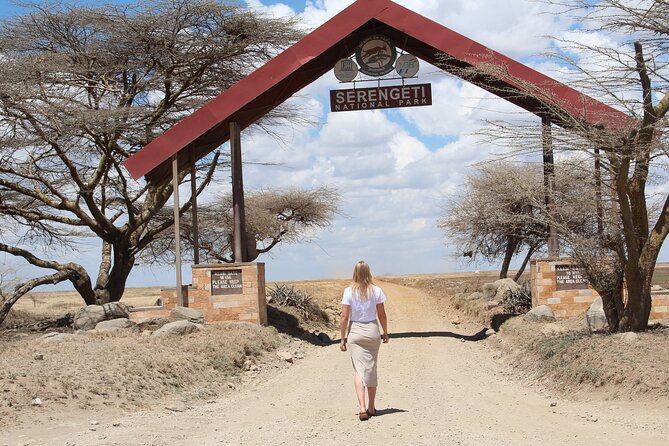 4 Days 3 Nights Tanzanian Budget Safari Tour - Tarangire National Park: Elephant herds and a full day on the move