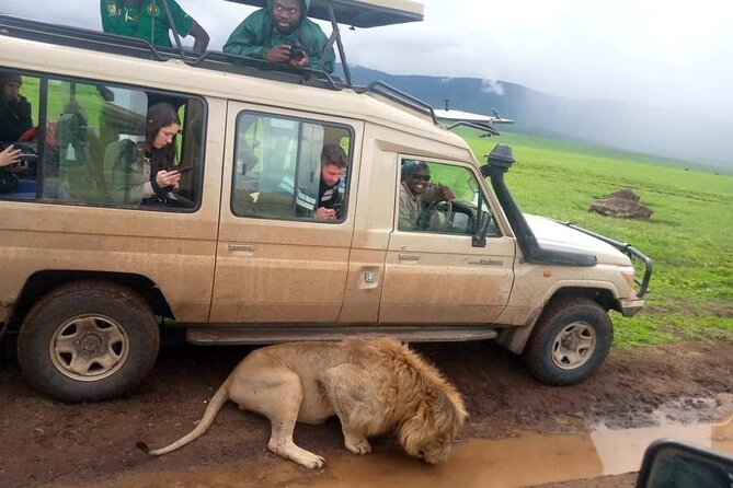 4 Days /3 nights Tarangire, Serengeti and Ngorongoro crater - Serengeti National Park and Seronera: why the river area matters