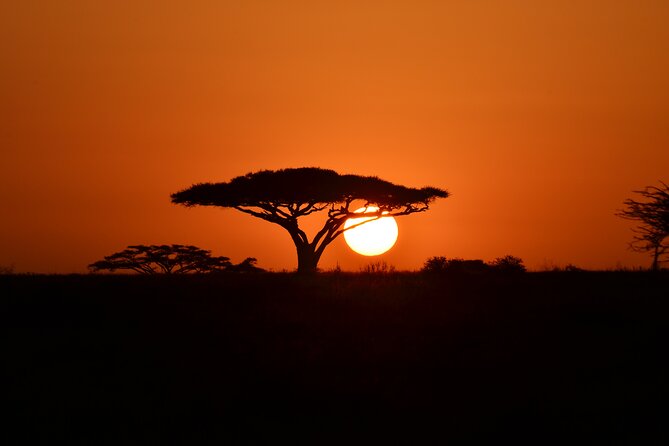 4 days adventure camping safari - Camping setup and included meals: where comfort meets the wild