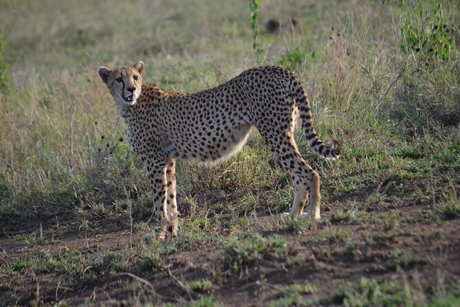 4 days adventure camping safari - Value check: what $1,650 includes and what you’ll pay separately