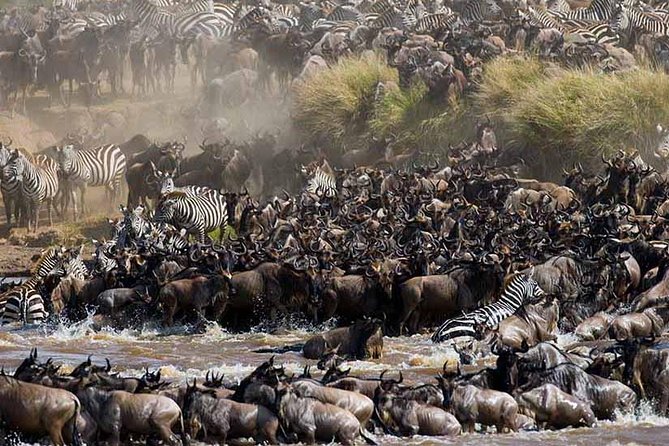 4-Days Adventure Camping Safari to Tarangire, Serengeti & Ngorongoro - Price and Value: Is $1,199 a Good Deal for Four Days?