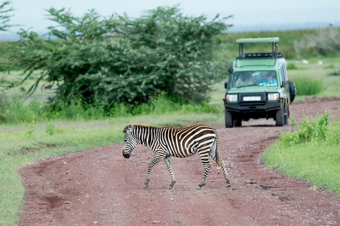 4 days adventure camping safari - Tarangire National Park full-day drive: big cats and elephant country
