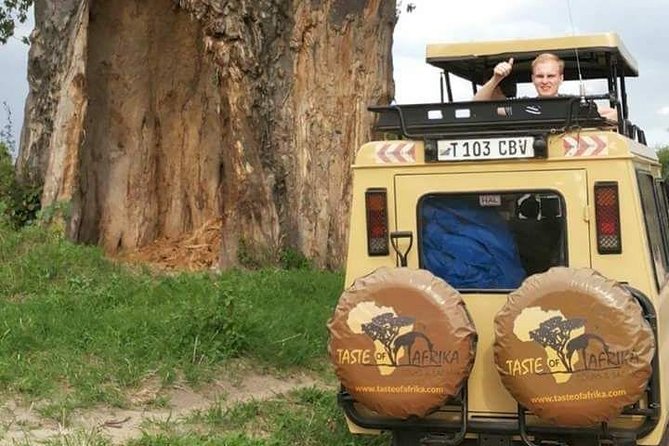 4 Days Affordable Tanzania Budget Safari - Tarangire National Park: Elephants in 6 Hours of Big, Open Action