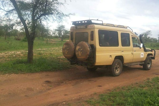 4 Days Affordable Tanzania Budget Safari - Who This 4-Day Budget Tanzania Safari Fits Best