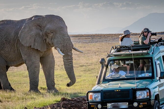 4 days Awesome Luxury safari Tarangire Serengeti & Ngorongoro - Safari Route From Arusha, What You Really Get in Four Days