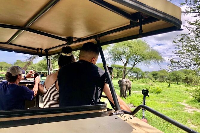 4 days Awesome Luxury safari Tarangire Serengeti & Ngorongoro - Price and Value, What $2,928 Buys You (And What It Does Not)