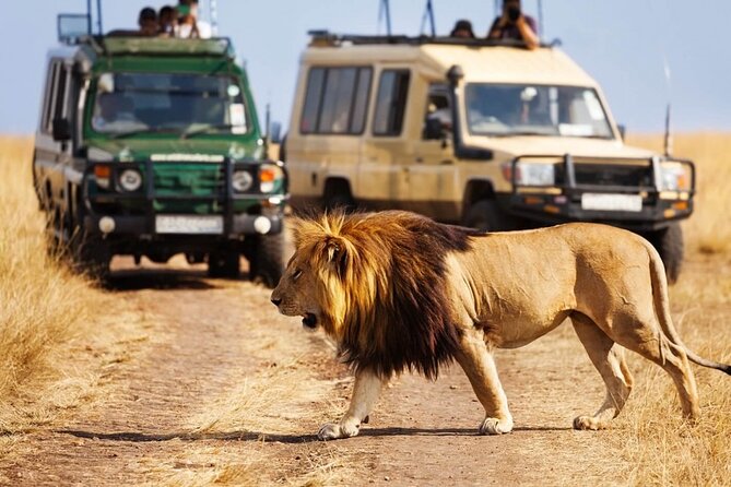 4 days Awesome Luxury safari Tarangire Serengeti & Ngorongoro - Day 2, Serengeti National Park: Gate Photos, Crater Viewpoints, Then Plains