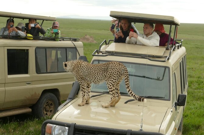 4 Days Big 5 Tour & Cultural Experience - Day 3: Lake Eyasi, Tatoga Guide, Hadzabe Hunting, and Datoga Context