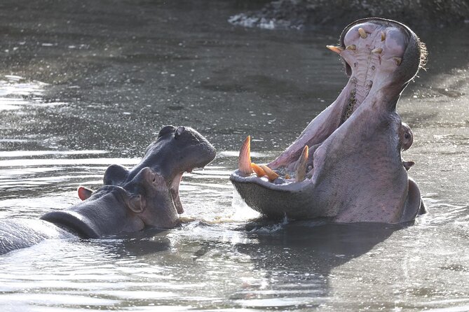 4 Days Big 5 Tour & Cultural Experience - The Human Touch, Guides and Crew Make the Difference