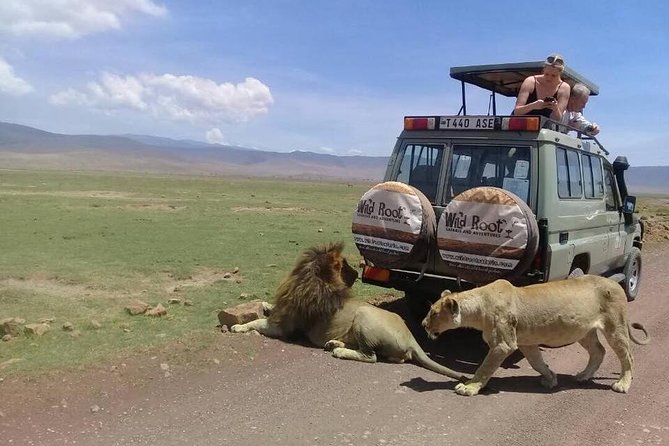 4: days Big five safari - Where you start: Arusha timing, pickup style, and trip rhythm