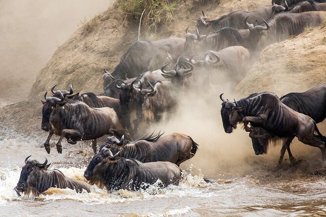 4 Days Experience big five in Tarangire, Serengeti & Ngorongoro Safari - Price and value: does $1,280 make sense for this mix of parks