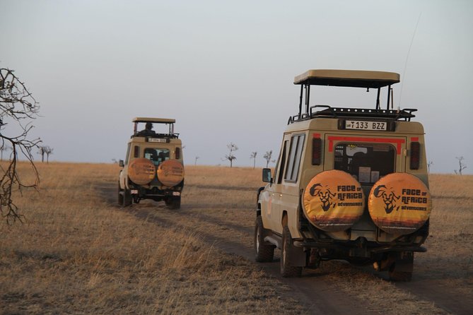 4 Days Game drives Safari Tarangire, Serengeti and Ngorongoro Crater - Getting started in Moshi, with a pickup that respects your time