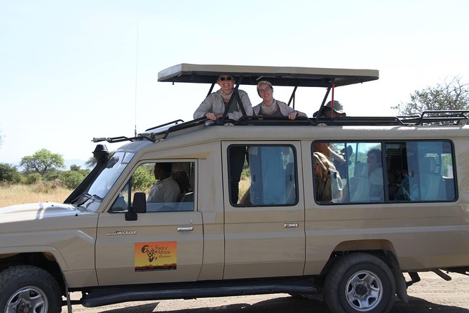4 Days Game drives Safari Tarangire, Serengeti and Ngorongoro Crater - Day 1 in Tarangire National Park: elephants along the Tarangire River