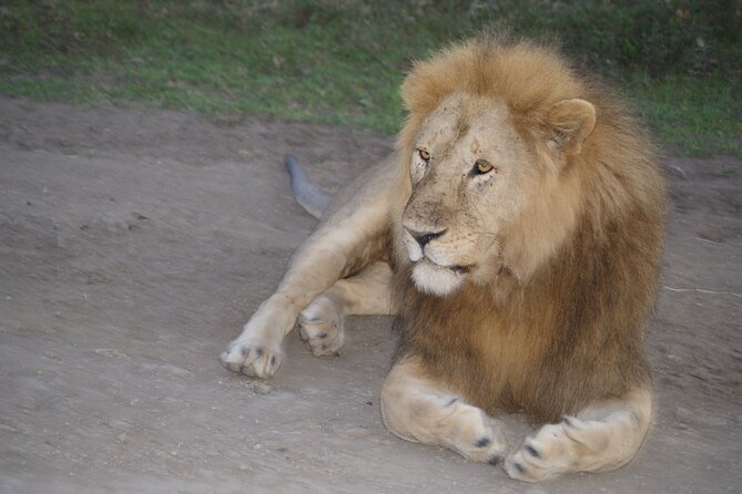 4 Days Group Camping Safari - Key things that make this safari click