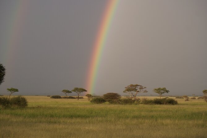 4 Days Group Camping Safari - Tarangire National Park: elephants, baobabs, and a classic first drive