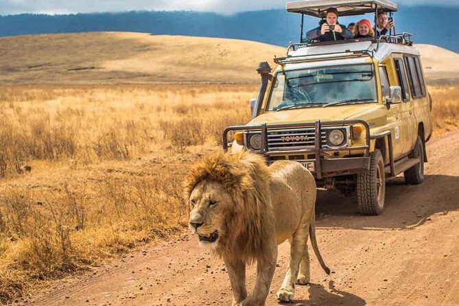 4 Days Group Joining Camping Tanzania safari - Day 1: Tarangire National Park, bird life and elephant moments