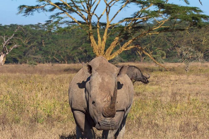 4 Days Joined Group Safari Serengeti,Ngorongoro and Tarangire National Parks - Price check: does $974.36 buy you real safari time?