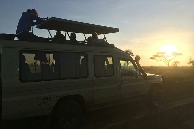 4 Days lodge &camping Tarangire,Serengeti, Ngorongoro Safari Tour - Serengeti on two afternoons and mornings, anchored at Seronera