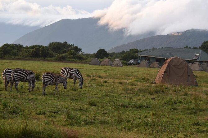4 Days lodge &camping Tarangire,Serengeti, Ngorongoro Safari Tour - Ngorongoro Crater: the self-contained ecosystem drive