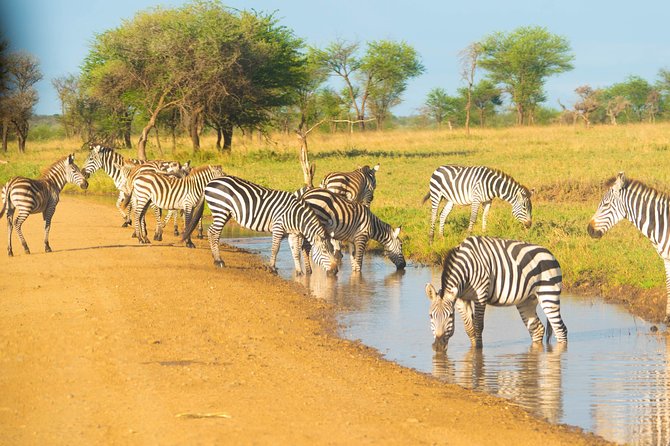 4 Days Lodge Safari - Price and Value, What $1,847.43 Buys You in Real Terms