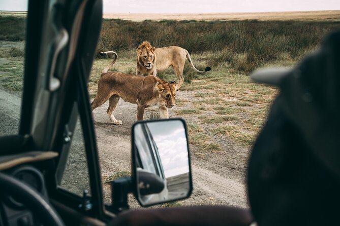 4 Days Lodge Safari in Lake Manyara, Serengeti & Ngorongoro Crater - Day 3 to the Crater Rim: Seronera Wildlife and Two Game Drives