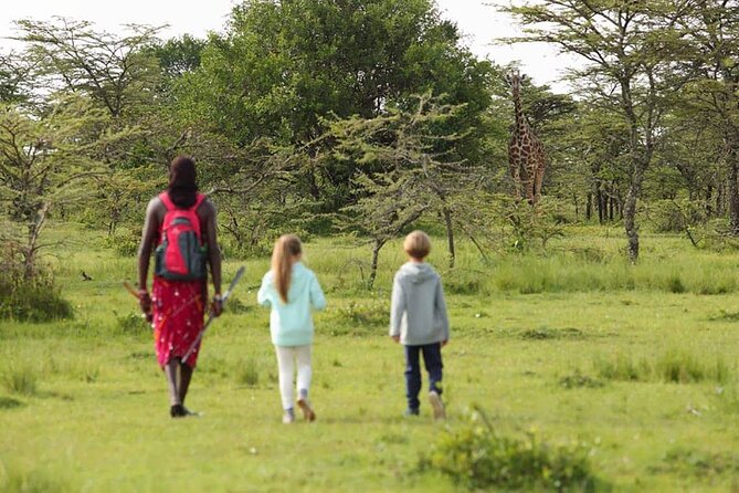 4 Days lodge safari Tarangire , Ngorongoro crater & Walking - What you’re really booking in 4 days from Arusha