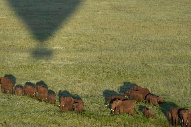 4 days luxury safari (a dream experience) - Price and value: how $4,500 per person adds up for this route
