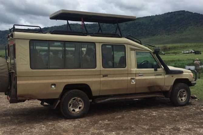 4 days luxury safari (a dream experience) - Day 1: Arusha to Serengeti, first game drive at landing, then evening eyes-on