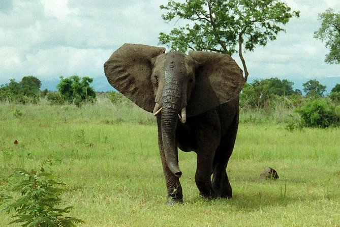 4 Days Mikumi & Udzungwa National Parks Safari - Day 1 to Day 4: your actual rhythm on the road