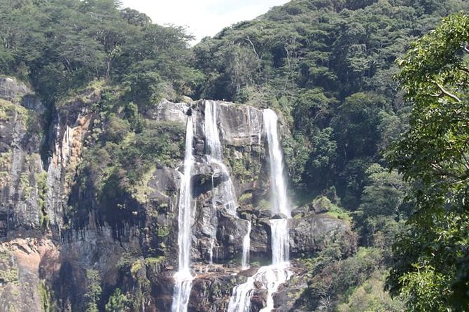 4 Days Mikumi & Udzungwa National Parks Safari - Udzungwa Mountains National Park: the Sanje Waterfall hike you actually remember