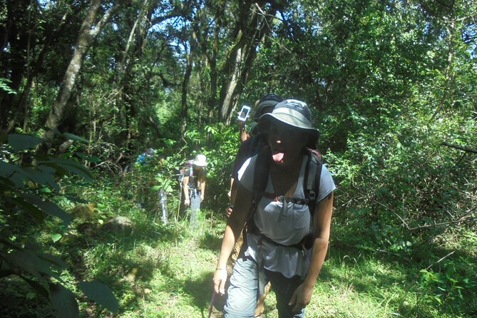 4 Days Mount Meru Climbing | Hiking | Trekking Tour - Day 4 descent back to Momela Gate and onward to Arusha or Moshi