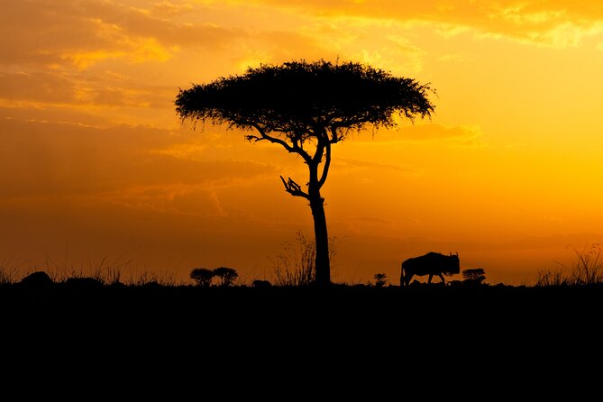 4 Days Private Arusha National Park, Serengeti, Ngorongoro Tour - Day 1 in Arusha National Park: ranger walk, Mount Meru views, and a picnic lunch