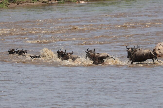 4 Days Private Arusha National Park, Serengeti, Ngorongoro Tour - Price and value at $840 per person: what you’re paying for and what you’re not