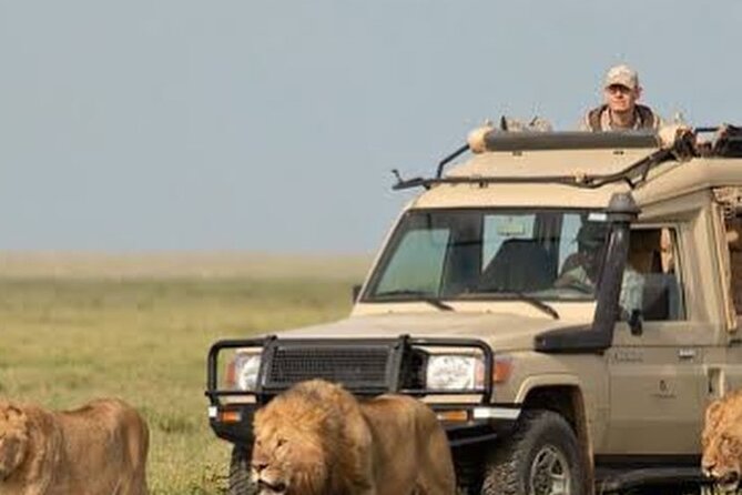 4 Days Private Arusha National Park, Serengeti, Ngorongoro Tour - Day 2 in central Serengeti: one strong morning drive to get your safari rhythm