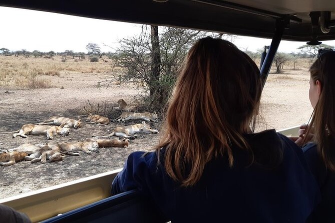 4 Days Private Midrange Lodge Safari to Serengeti & Ngorongoro - How this 4-day safari loop really works for your time