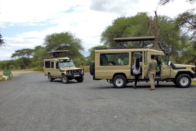 4 Days Private Midrange Lodge Safari to Serengeti & Ngorongoro - Serengeti National Park: a long day that targets migration and predators