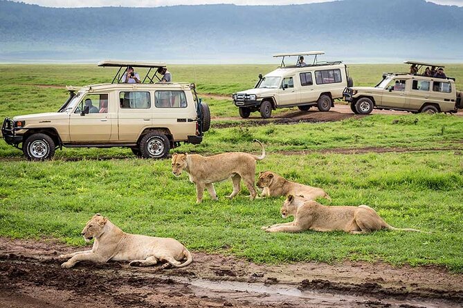 4 Days Private Midrange Lodge Safari to Serengeti & Ngorongoro - The safari crew behind your best sightings
