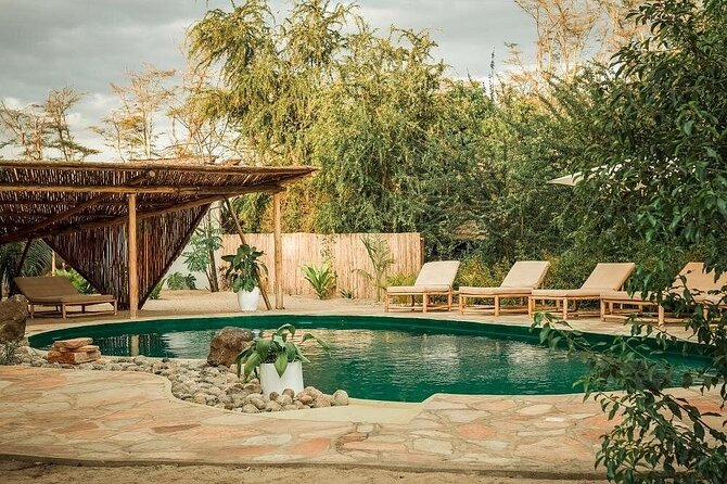 4 Days Private Midrange Lodge Safari to Serengeti & Ngorongoro - Price and value: what $2,596.07 per person is really buying