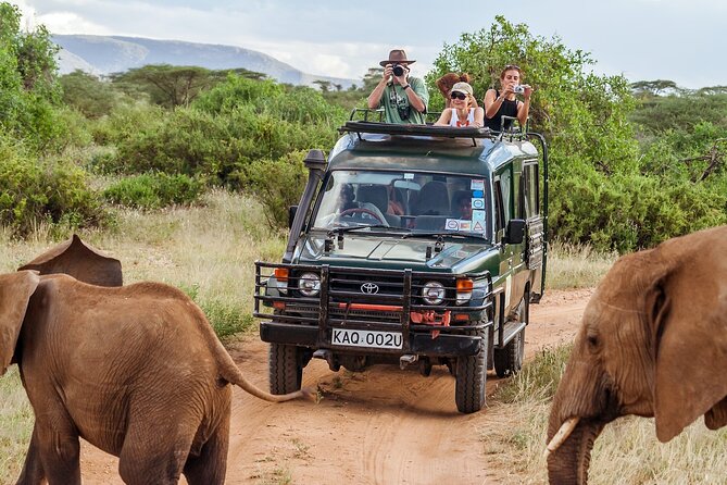 4-Days Private Midrange Safari Tarangire, Serengeti & Ngorongoro - Day 1 at Lake Manyara: full day game drive plus a lodge night