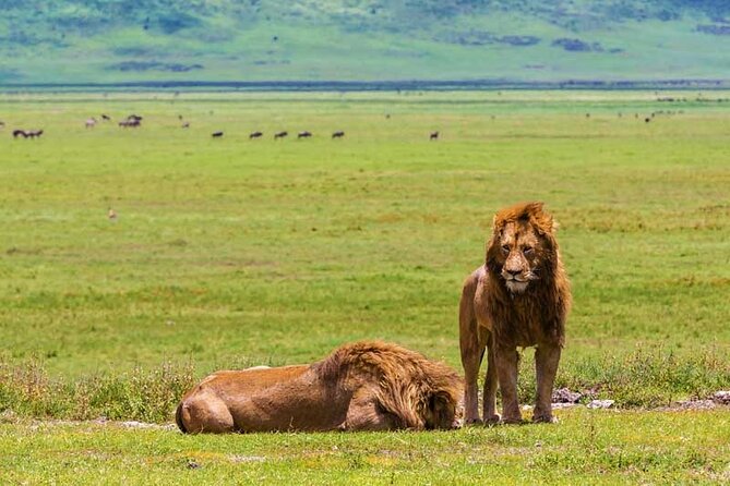 4-Days Private Midrange, Tarangire Ngorongoro, Manyara & Materuni - Day 4 on Kilimanjaro slopes: coffee in Materuni and time for waterfalls