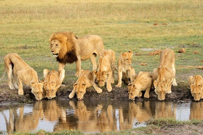 4 Days Private Migration Midrange Safari - Lodges, comfort level, and what you actually get