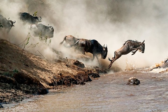 4 days Private Safari Tour Tanzania - Price and value at $2,500 per person: what you’re paying for (and what you’re not)