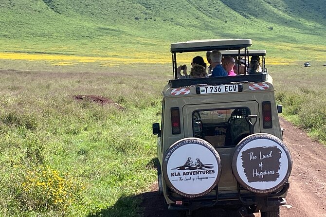4 Days Private Tour Tarangire Crater and Serengeti - Zanzibar-Arusha logistics that keep your safari days focused