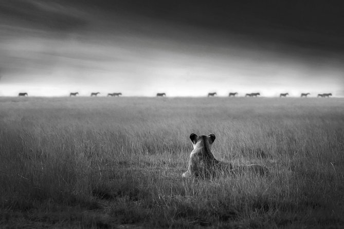 4 days safari in Tanzania - Serengeti National Park: why Seronera is where wildlife concentrates